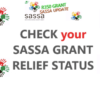 SASSA R350 Grant Application Status For February 2021