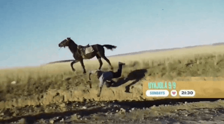Cheater Falls Off The Horse On UyaJola 9/9 Leaving Viewers In Stitches